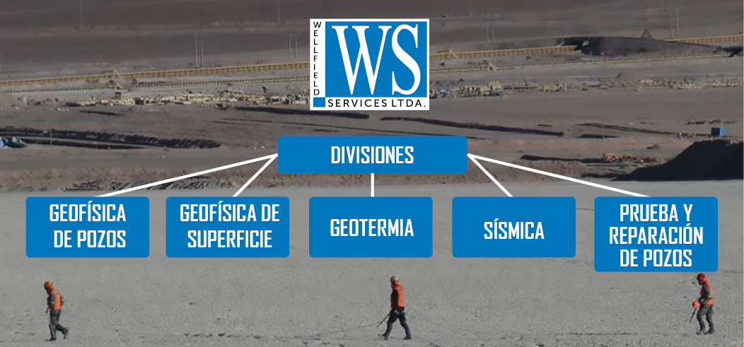 organizacion